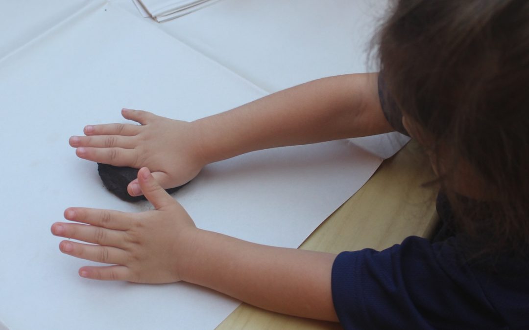 Mentes curiosas: Una aventura con cacao