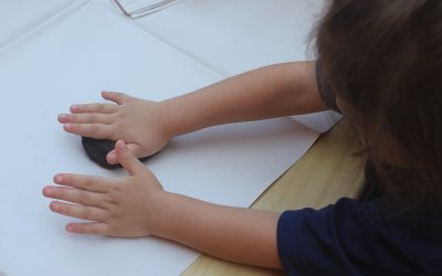 Mentes curiosas: Una aventura con cacao