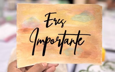 Somos Importantes